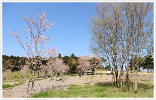 トラックの森